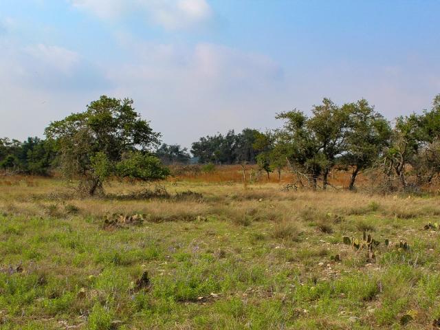 Land for sale in Kerr, Texas