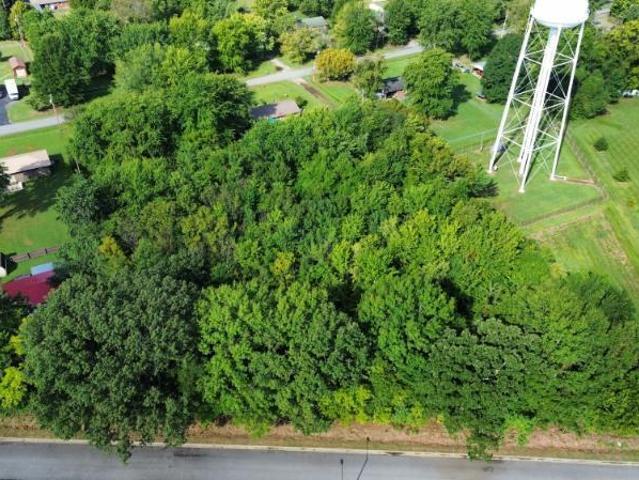 Land for sale in Ledbetter, Livingston County