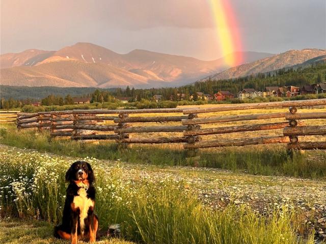 House for sale in Fraser, Colorado