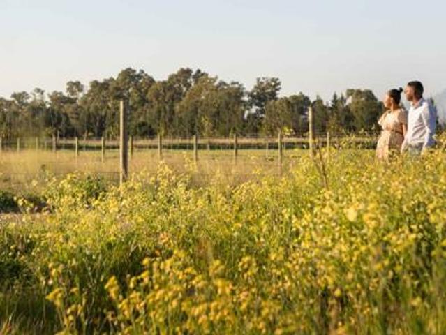 Land for sale in Durbanville, Western Cape
