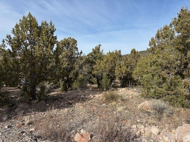 Land for sale in Central, Utah