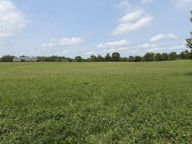 Land for sale in Cynthiana, Kentucky