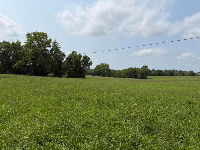 Land for sale in Robinson, Cynthiana