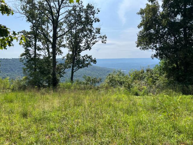 Land for sale in Tennessee