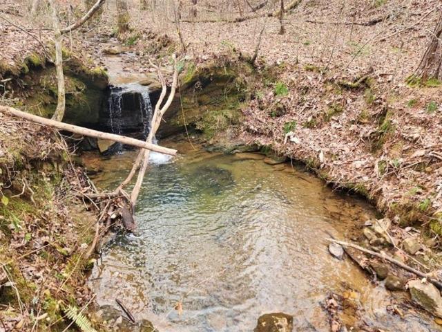 Land for sale in Canton, Georgia