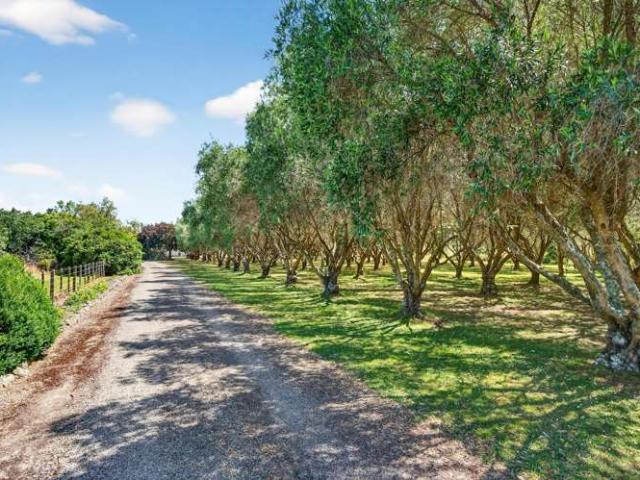 Property for sale in Opaki, Wellington