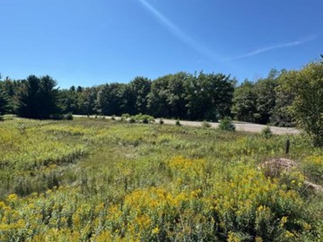 Land for sale in Aitkin, Aitkin County