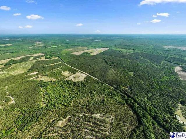 Land for sale in Bethune, South Carolina