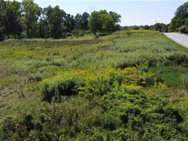 Farm for sale in Scottsville, New York