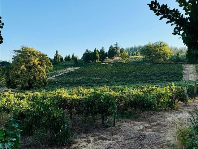 House for sale in Camino, California