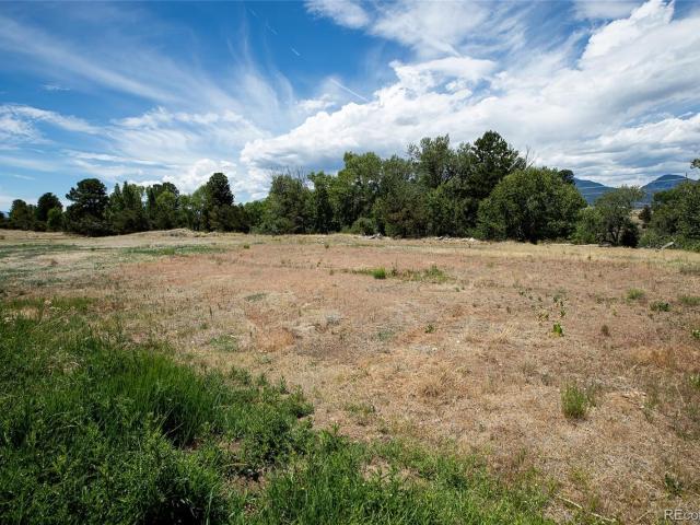 Land for sale in Buena Vista