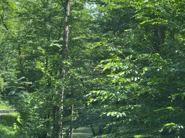Land for sale in Tennessee