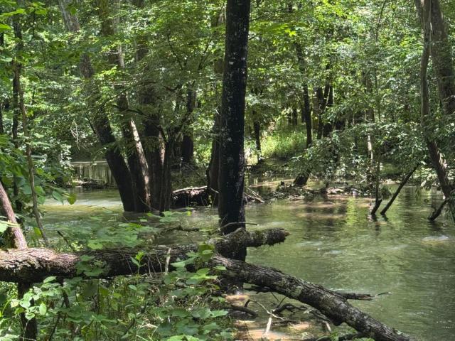 Land for sale in Tennessee