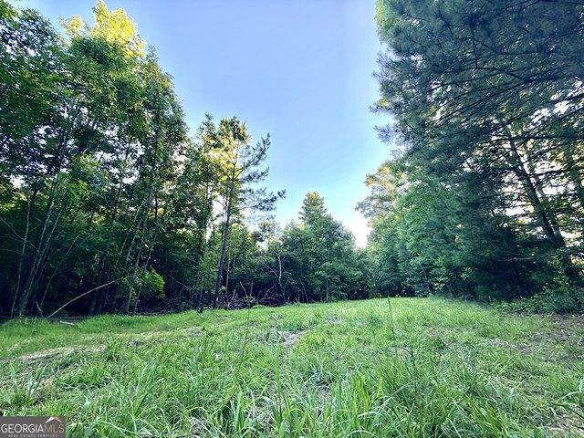 Land for sale in Elbert, Georgia