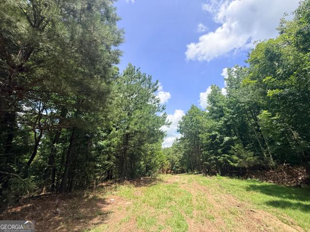 Land for sale in Elbert, Georgia