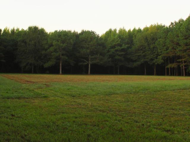 Land for sale in Sunrise, Carthage