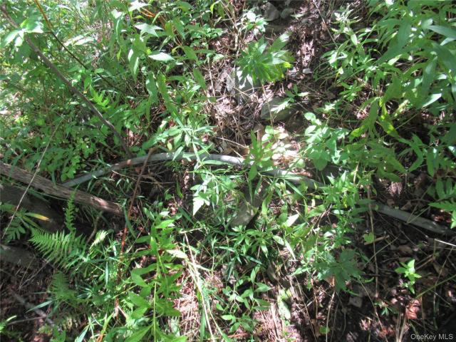Land for sale in Claryville, New York