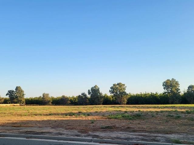 Land for sale in Sutter, California