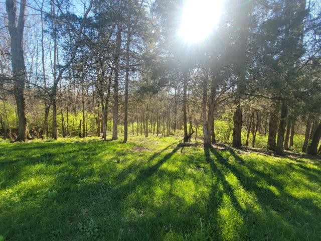 House for sale in Sadieville, Kentucky