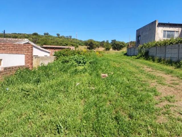 Land for sale in Eastern Cape
