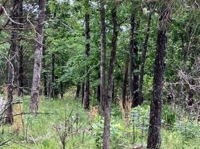 Land for sale in Fredericktown, Missouri