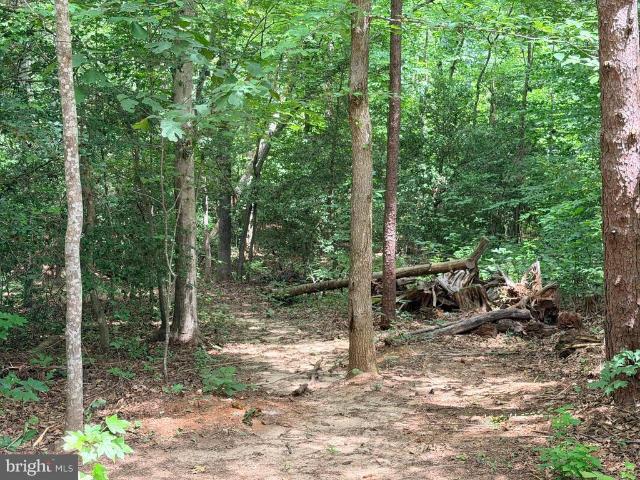 Property for rent in Virginia