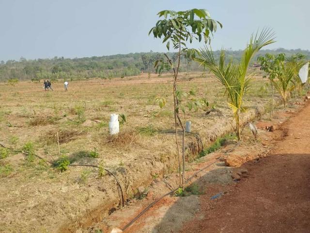 Land for sale in Anakapalle, Andhra Pradesh