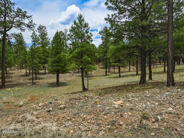 Land for sale in Happy Jack, Arizona