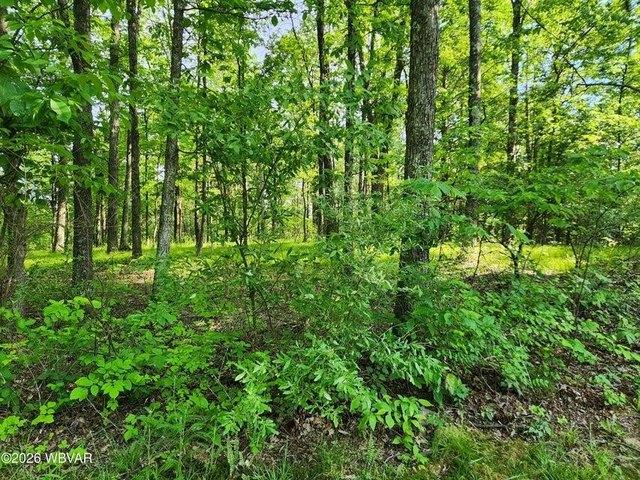 Land for sale in Sullivan, Pennsylvania