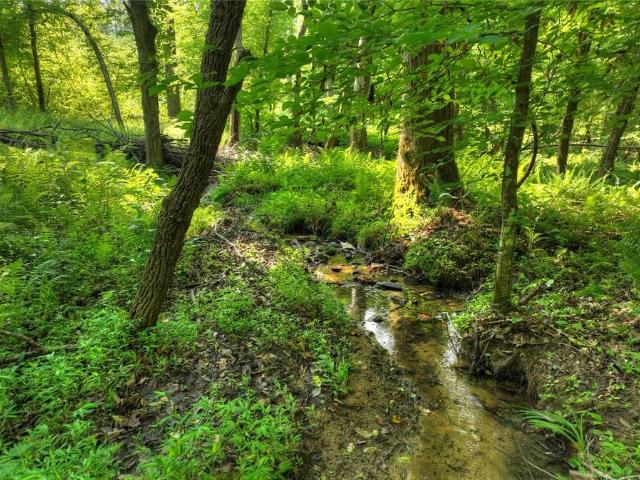 House for sale in Pickens, Georgia