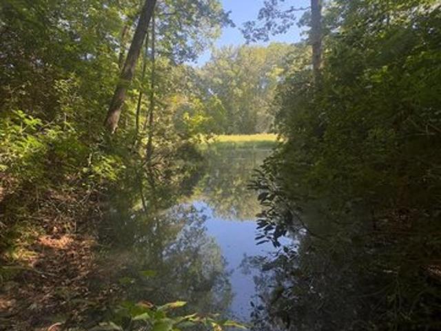Land for sale in Weems, Lancaster County