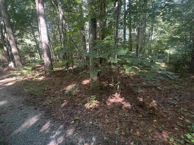 Land for sale in Weems, Lancaster County