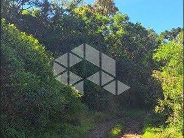 Sítio e chácara venda em Região Geográfica Imediata de Caxias do Sul, Cambara do Sul