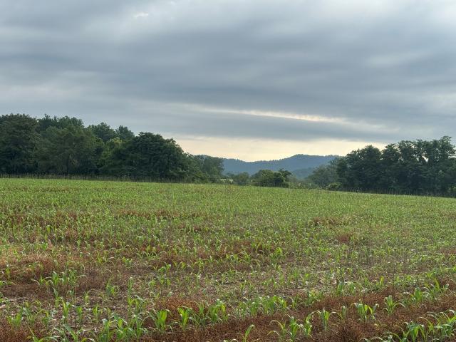Land for sale in Tennessee