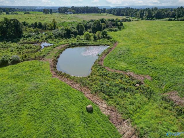 Land for sale in Horton, Alabama