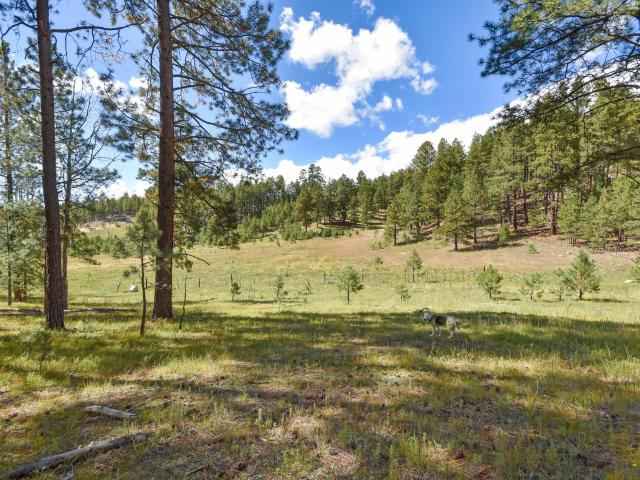 Land for sale in Jemez Springs, New Mexico