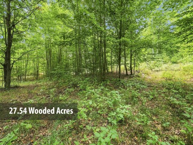 Land for sale in Michigan
