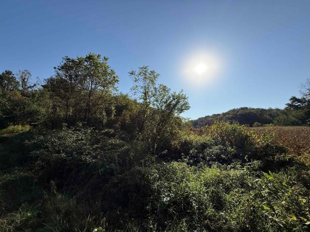 Land for sale in Argyle, Wisconsin