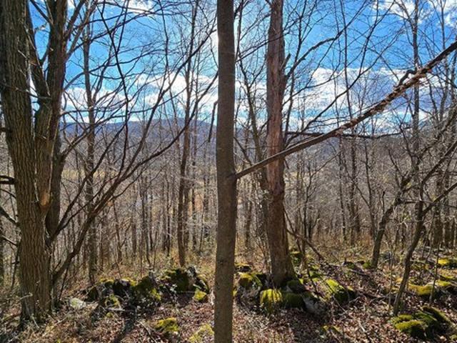 Land for sale in West Virginia
