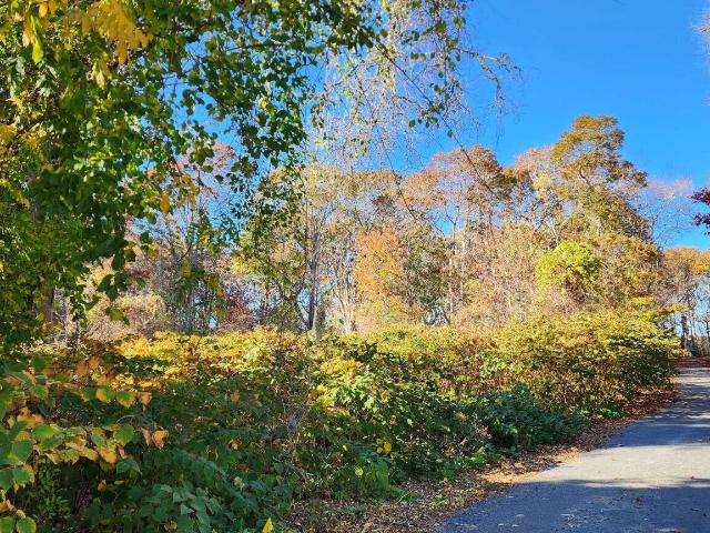 Land for sale in South Yarmouth, Massachusetts