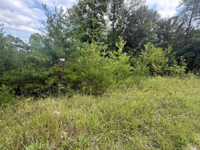 Land for sale in Somerset, Kentucky