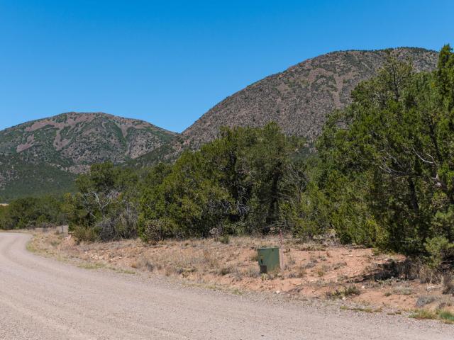 Land for sale in Edgewood, New Mexico