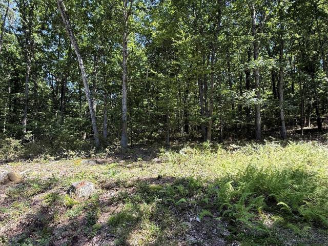 Land for sale in Town of Cochecton, Sullivan County