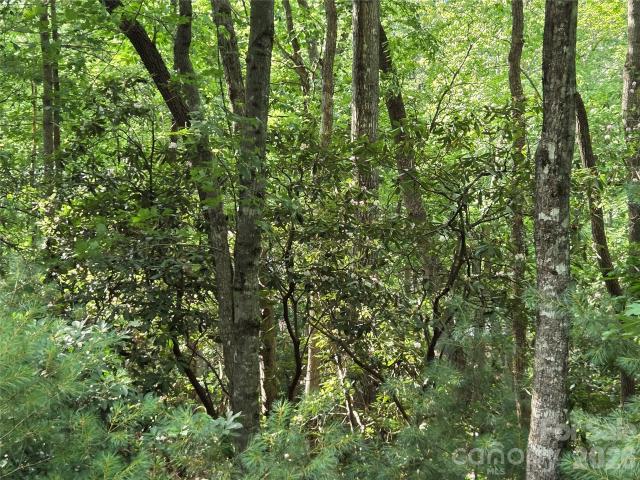 Land for sale in North Carolina