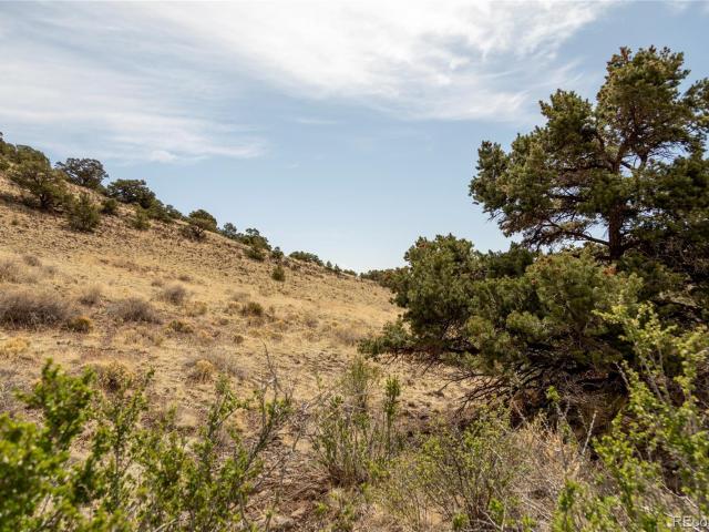 Land for sale in Del Norte Land for sale in Del Norte
