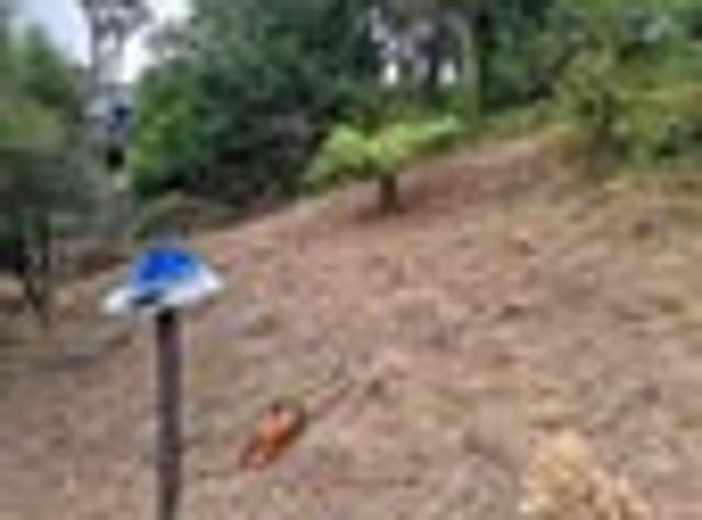Land for sale in Karetu, Northland