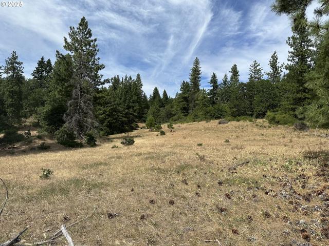 Land for sale in Goldendale, Washington