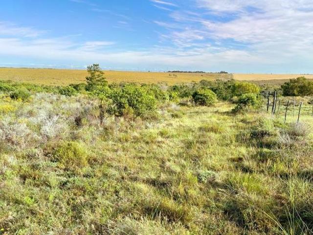 Land for sale in Cape St Francis, Eastern Cape
