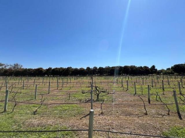 Land for sale in Ehlanzeni, Mpumalanga
