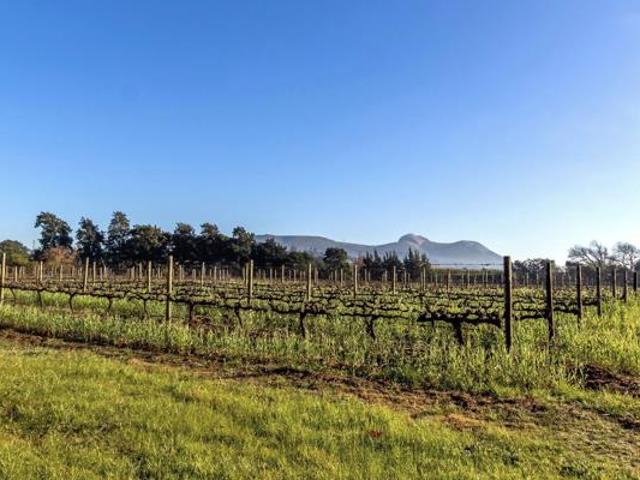 Land for sale in Durbanville, Western Cape